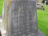 image of grave number 175352